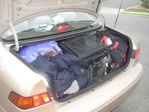 Luggage and Moving