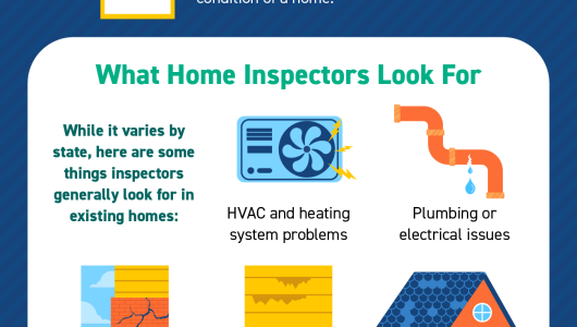 Home Inspection Infographic